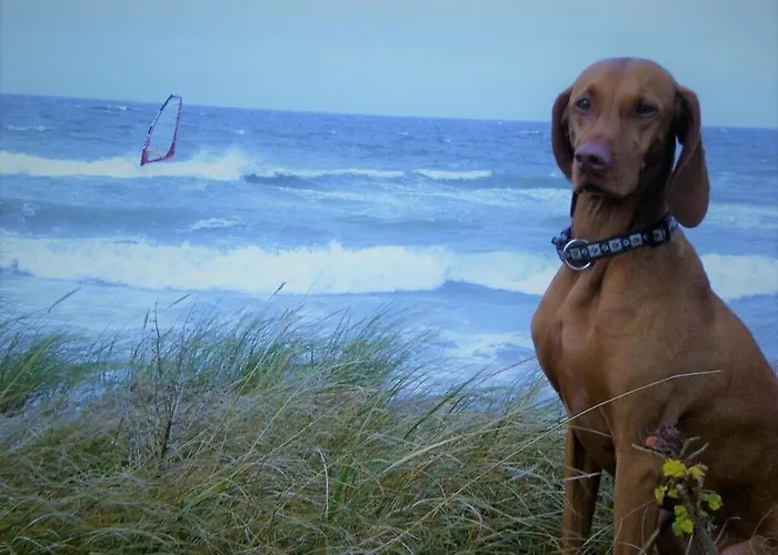 Apartment Sea View E&j Paul Comfortable Vacation