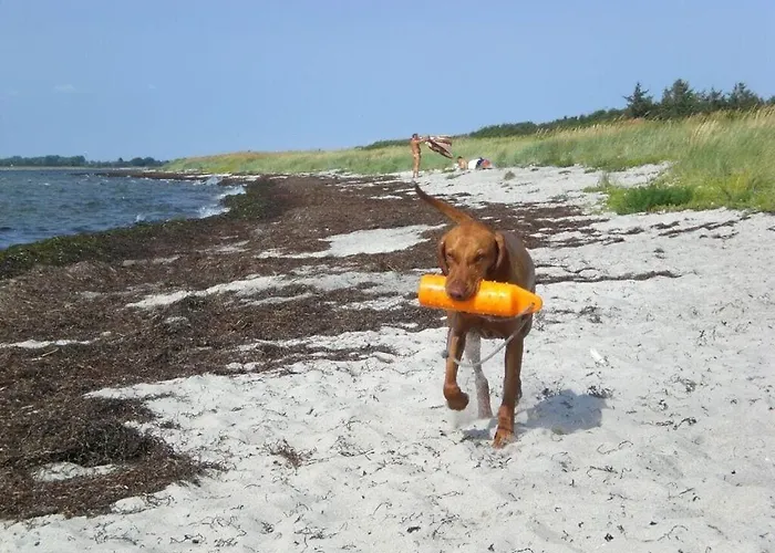 Sea View E&j Paul Comfortable Vacation Apartment