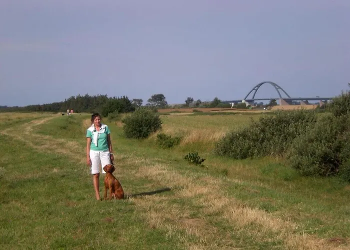 Sea View E&j Paul Comfortable Vacation Apartment